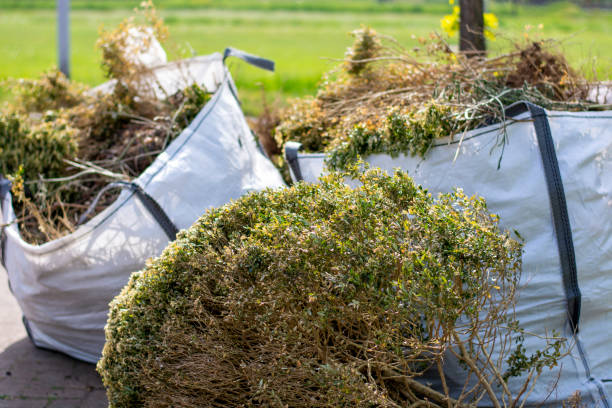 Best Junk Removal Near Me  in Farmer City, IL